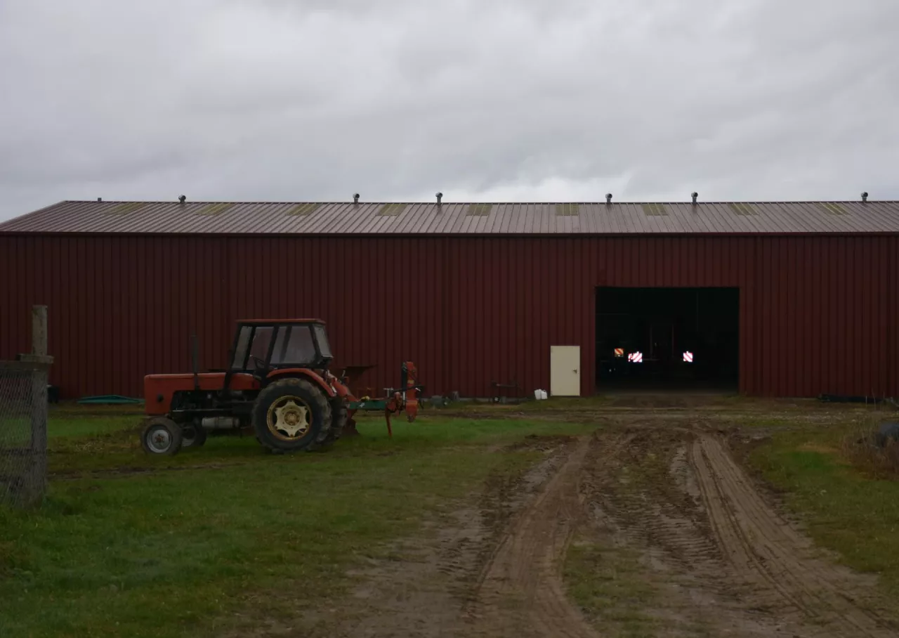 Gospodarstwo Wojciecha Szczęsnego jest nastawione na produkcję roślinną. Zebrane płody rolne przechowywane są w płaskim magazynie 