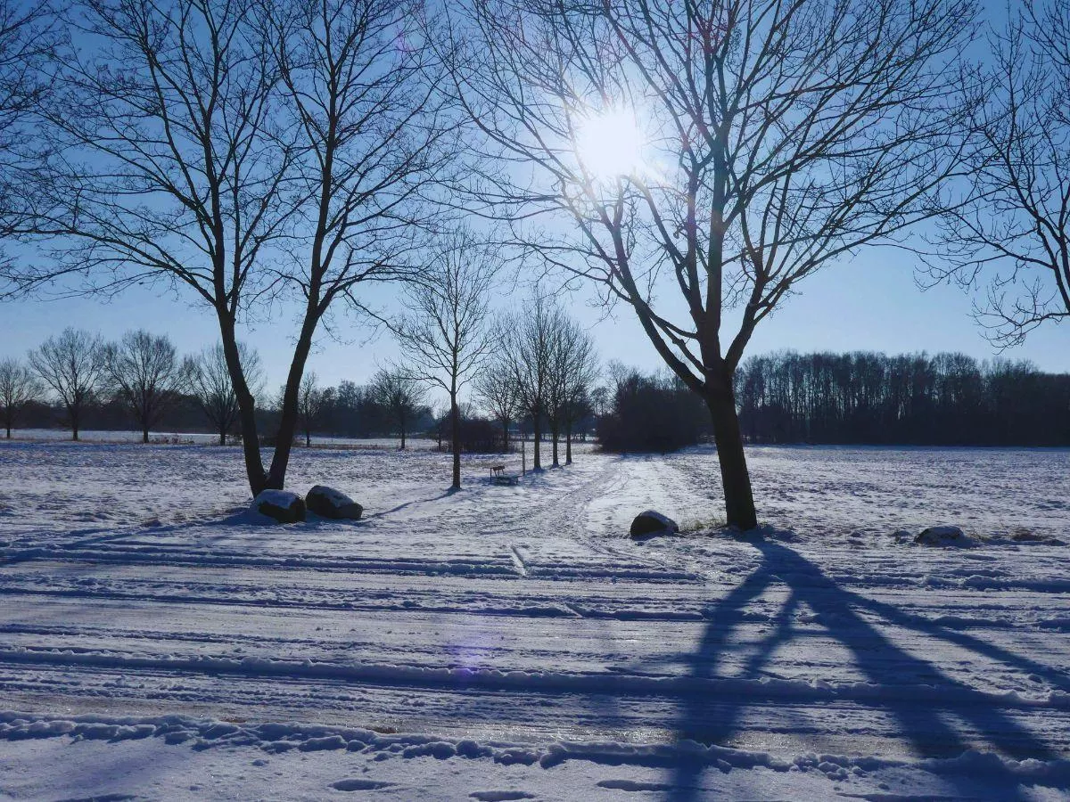 Pierwsza taka wiosna od lat? Chodzi o suszę