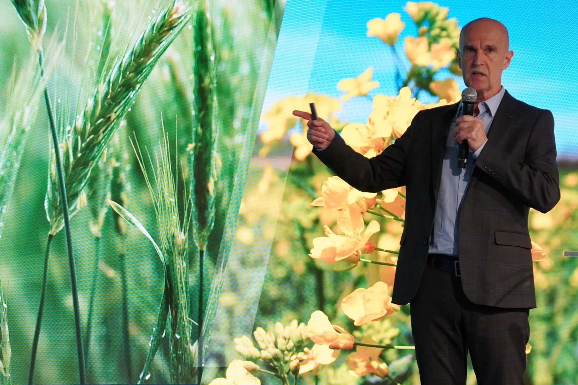 Deszcz, wiatr i mróz nie muszą niszczyć ochrony. Bayer pokazuje nowe rozwiązania