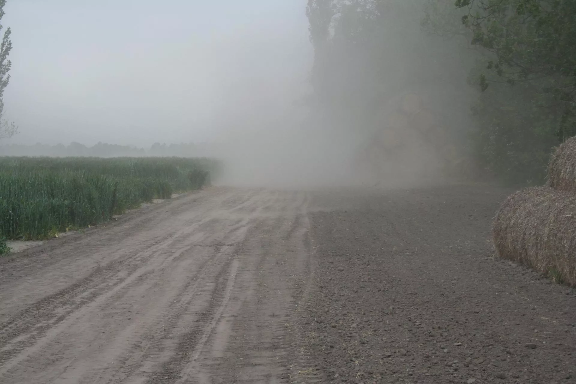 Wiosna może przynieść zamiecie piaskowe. Ekspert ostrzega rolników