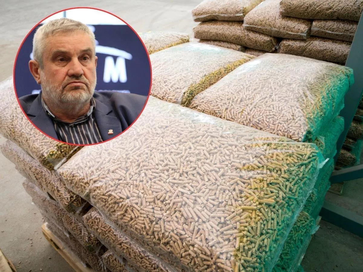 Pellet po 2000 zł. Ardanowski: „W takiej sytuacji trzeba palić zbożem”
