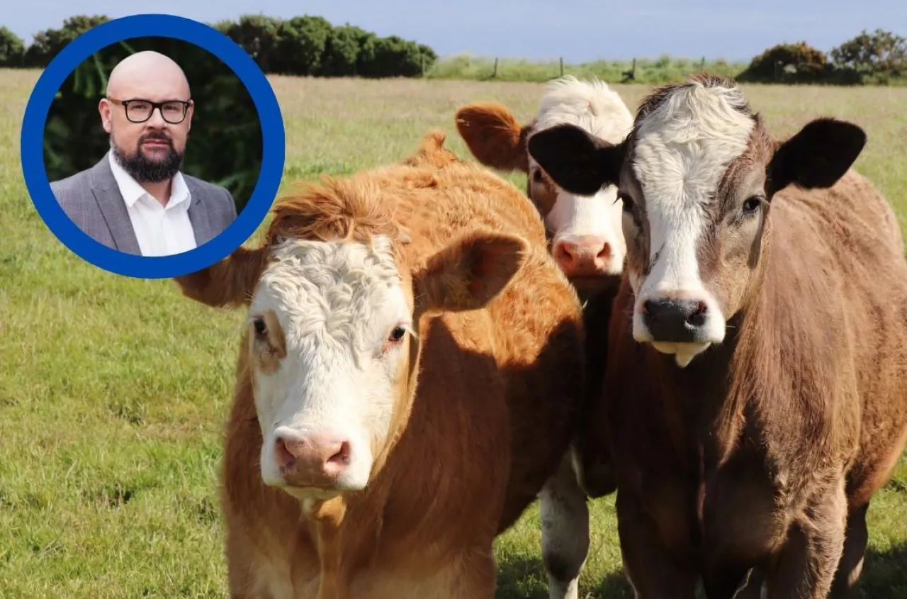 Bruksela szykuje kolejną umowę. „Poważne zagrożenie dla wołowiny"