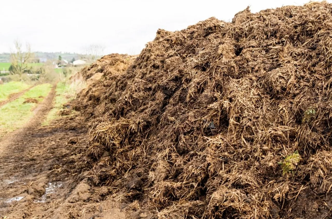 Obornik na skraju pola. Kiedy jest legalny, a kiedy grozi kara?