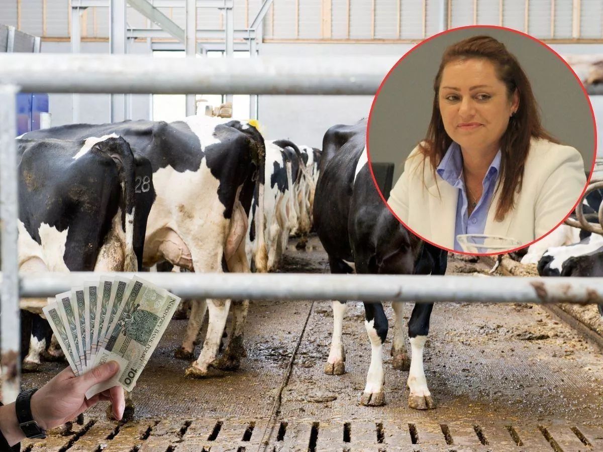 70 proc. zwrotu składki dla rolników. Rusza nabór ARiMR