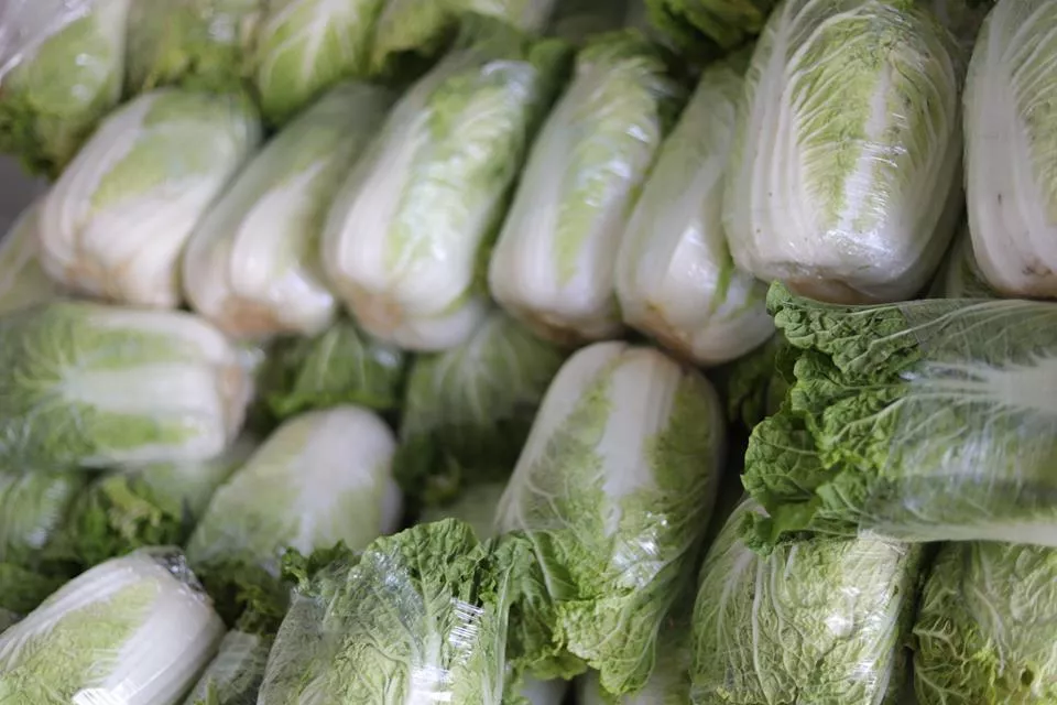 Kapusta z Ukrainy zalewa rynek. Odbiorcy wstrzymują zakupy od rolników