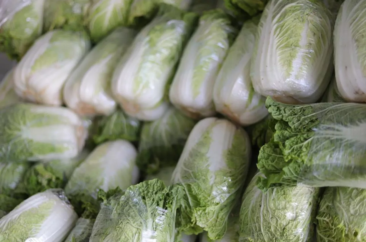 Kapusta z Ukrainy zalewa rynek. Odbiorcy wstrzymują zakupy od rolników