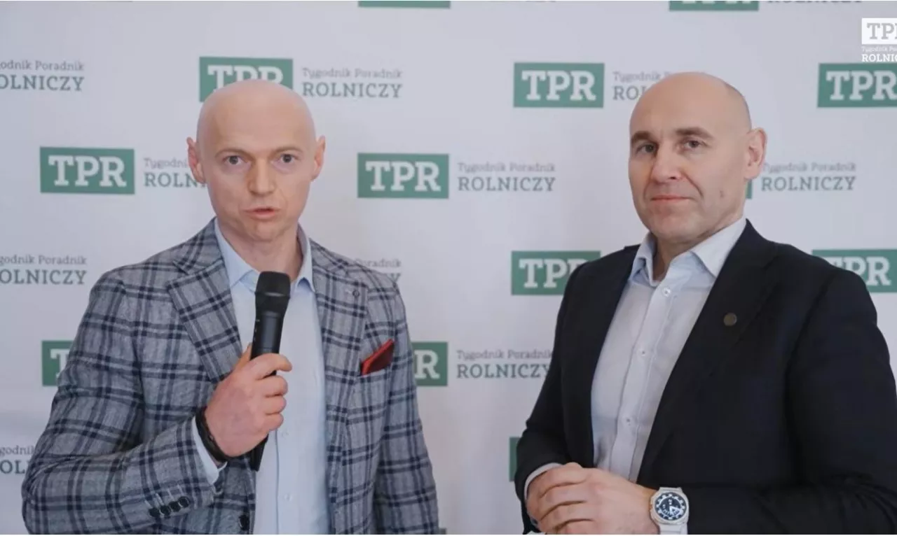 Buhajki i krowy wybrakowane mogą dać zysk