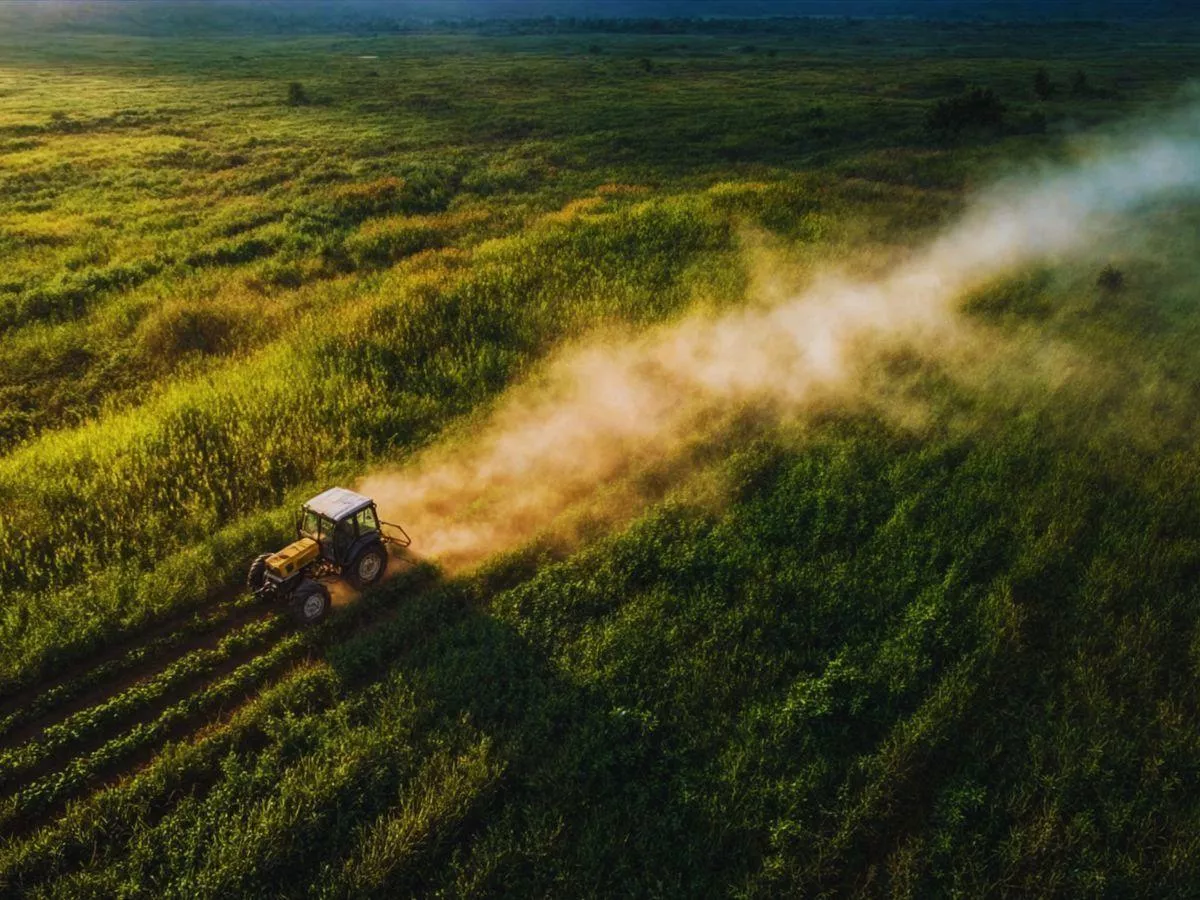Susza na łąkach, pieniędzy dla rolników brak. Czy rząd to zmieni?