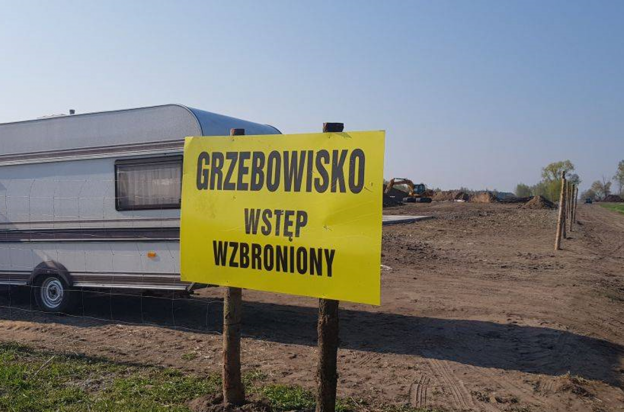 Rok po pryszczycy przy granicy, a państwo wciąż nie ma grzebowisk dla zwierząt