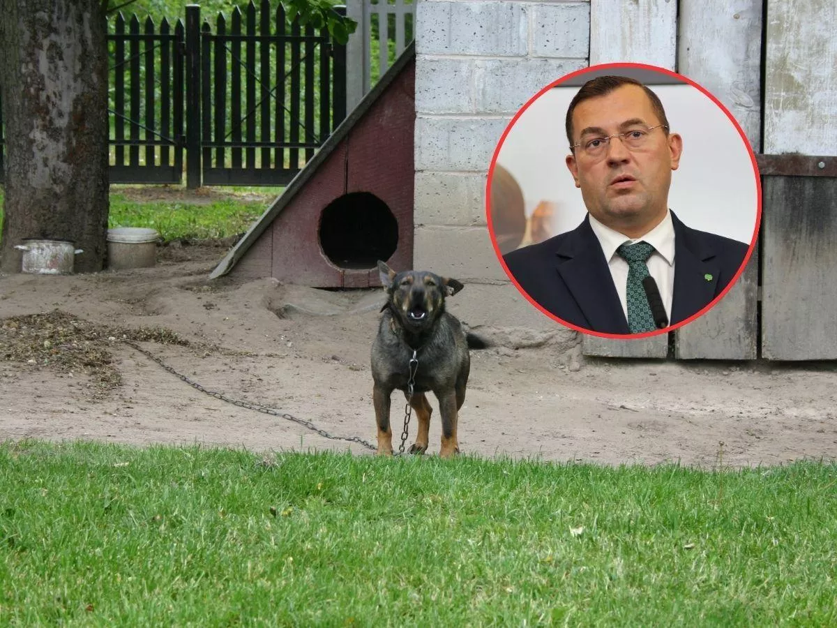 Dopłaty do kojców dla psów. Minister ujawnia, kiedy rolnicy dostaną pieniądze
