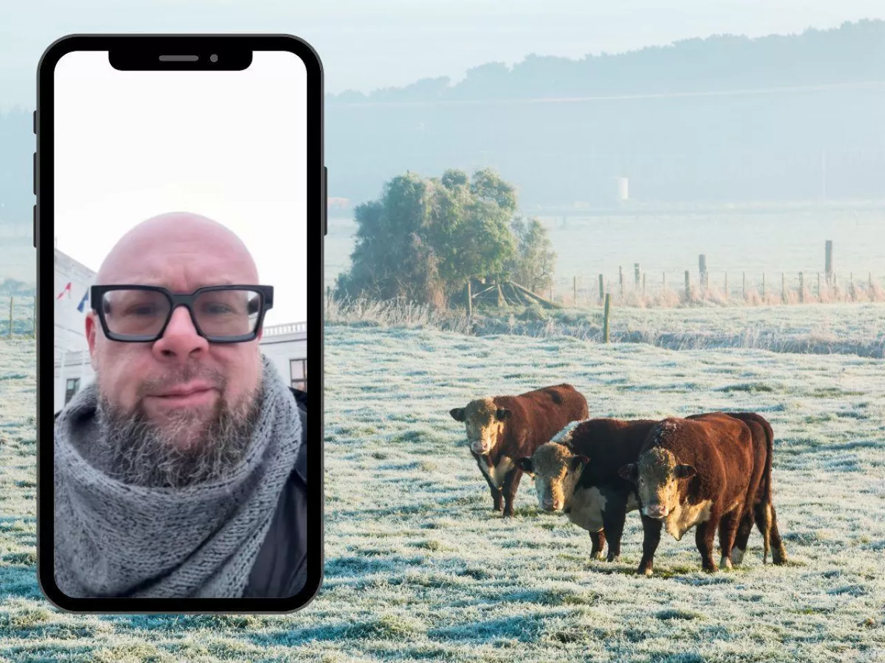 Ataki wilków na zwierzęta gospodarskie w gm. Sorkwity