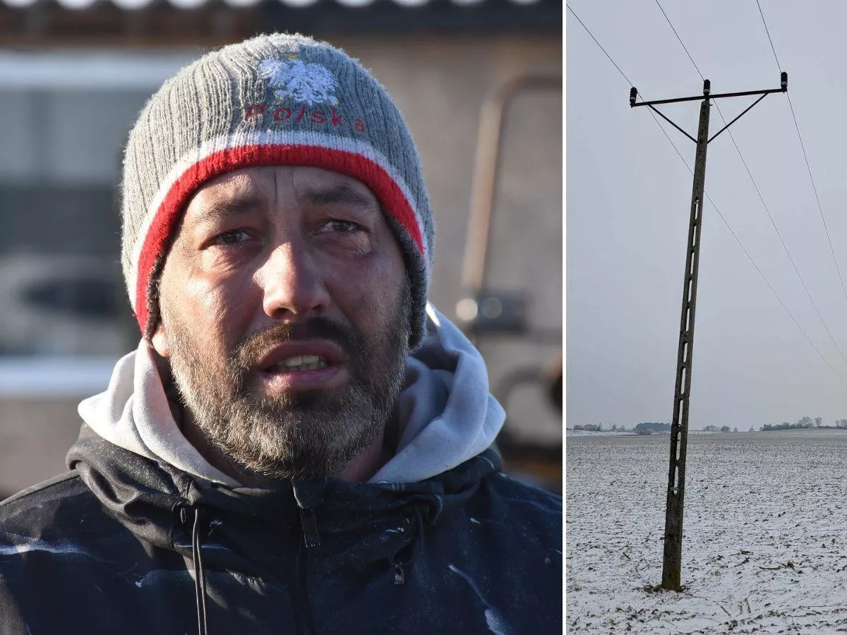 6 godzin bez prądu i milionowe straty. Rolnik załamany, operator zabrał głos