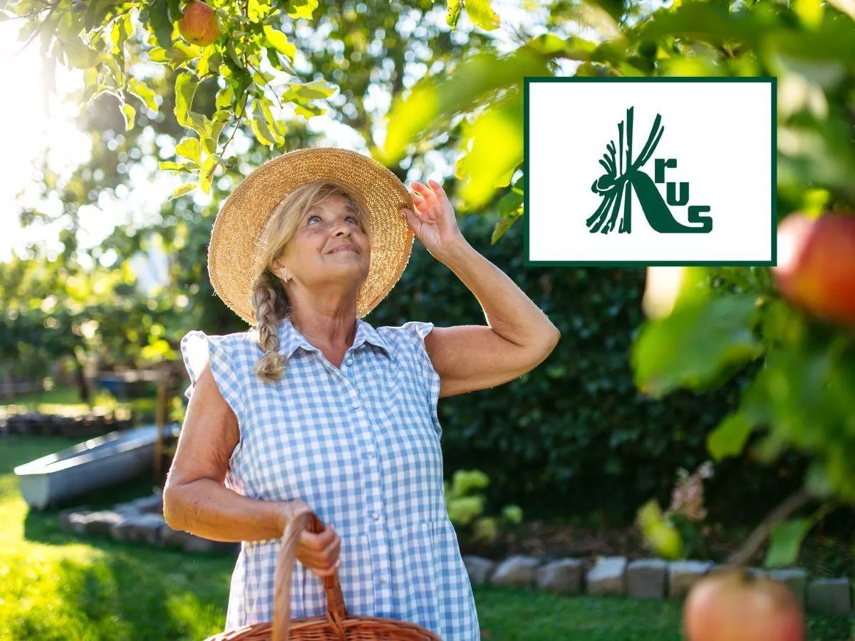 KRUS podnosi emerytury i renty. Tyle może trafić na konta rolników