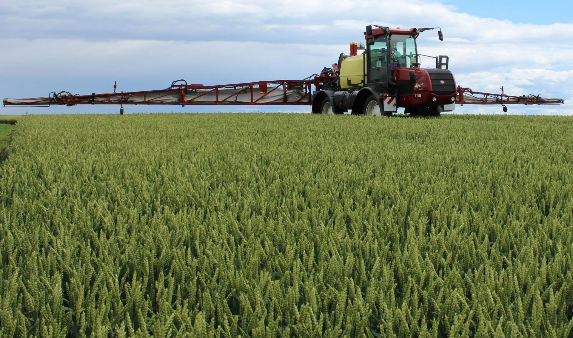 Nawet 1180 zł/ha. Do jakich upraw dostaniesz dopłaty IP w 2026? [LISTA]