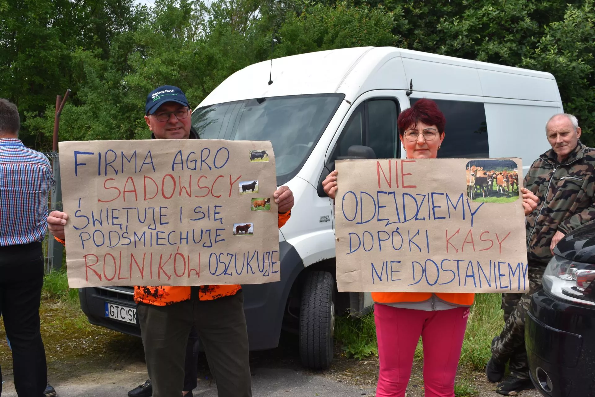 Sprzedał byki i nie dostał ani złotówki. Rolnik z Kujaw stracił 250 tys. zł