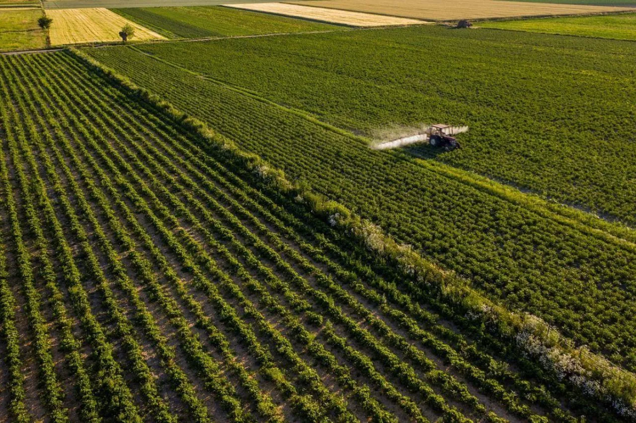 zabiegi z wykorzystaniem śor na polu 