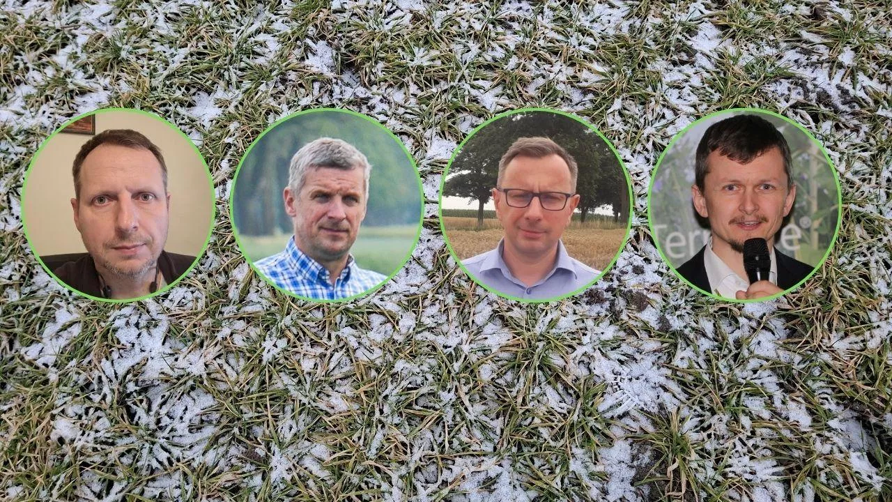 Wojciech Wolniak z HR Smolice, Mateusz Hachula z RAGT Polska, Dariusz Majchrzycki z Danko Hodowla Roślin oraz Michał Pepka z Saaten-Union