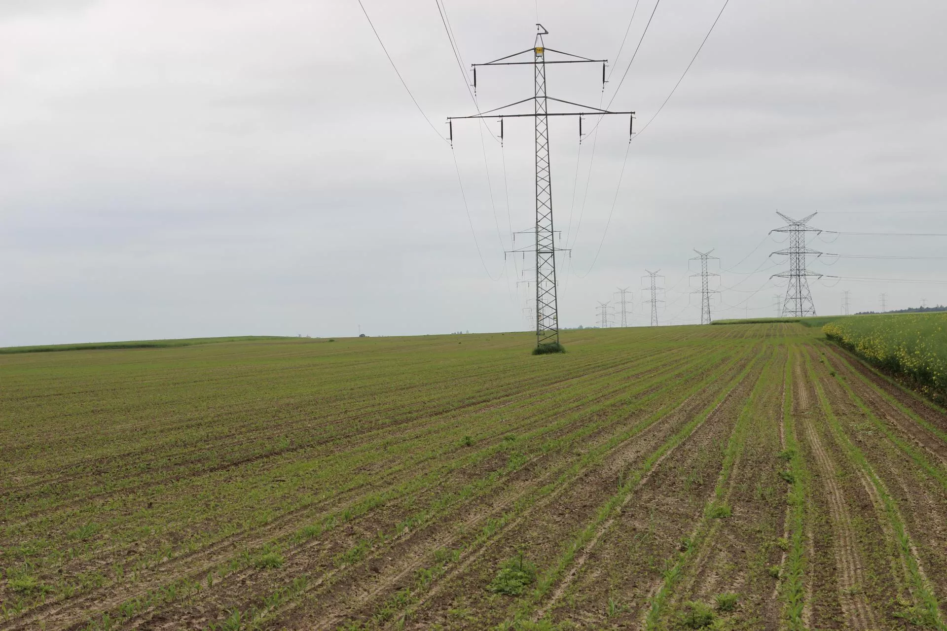 Masz słupy na polu? Rolnicy mają czas do 2 marca na odzyskanie pieniędzy