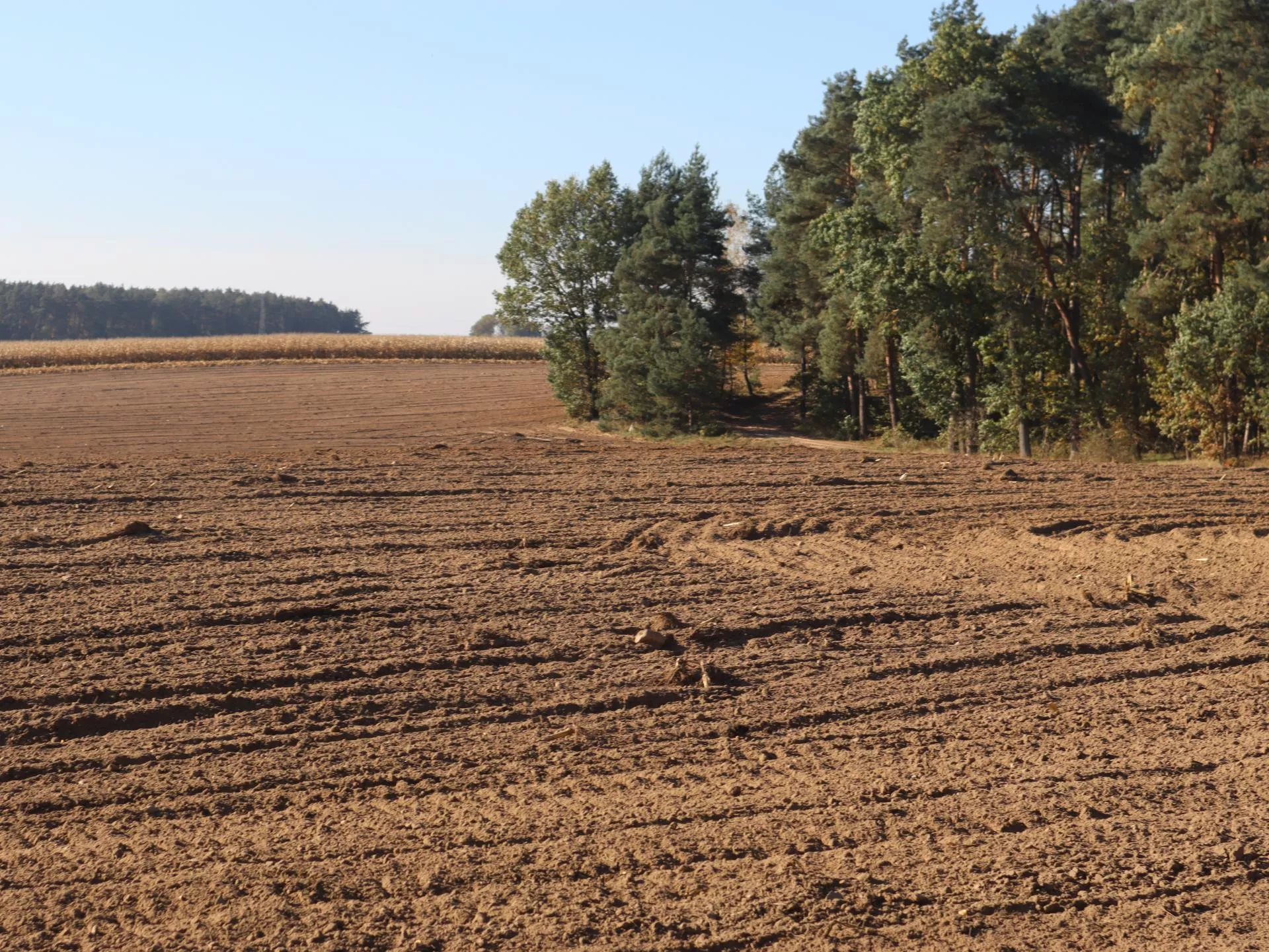 Koniec umów ustnych i nowe obowiązki. Rolnicy ostro przeciw zmianom w dzierżawie ziemi