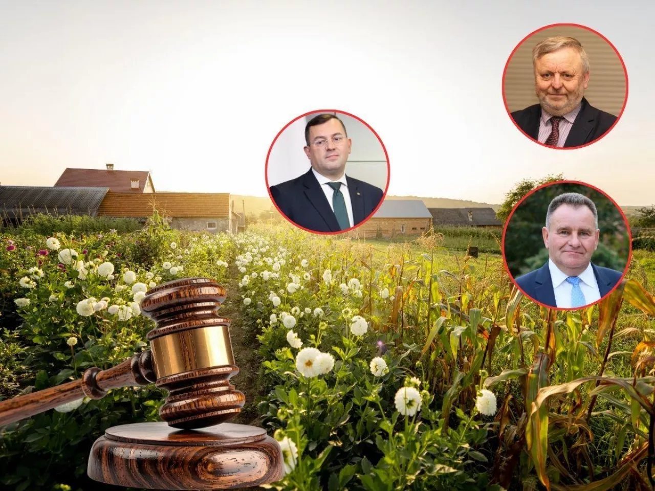 Ziemia od komornika najpierw dla rolników? Pismo już u ministra