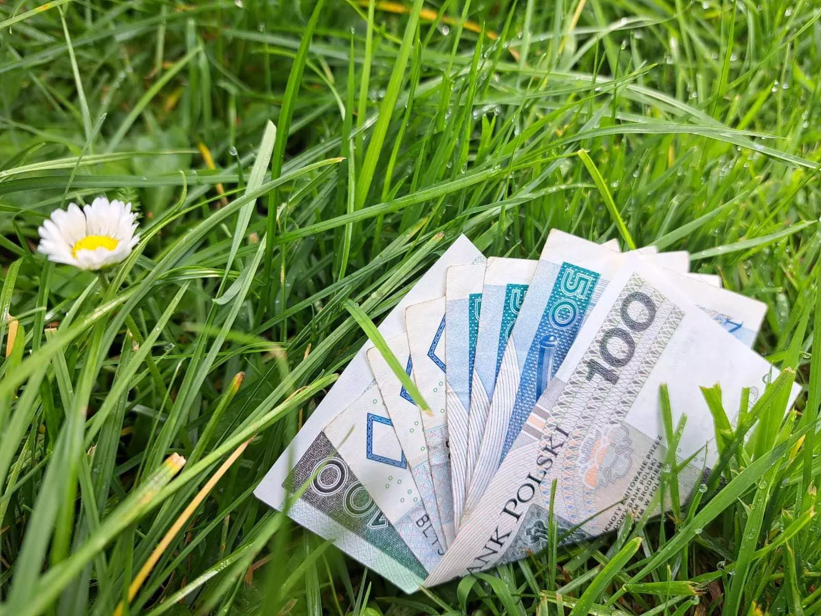 Tani kredyt na zakup ziemi. ARiMR: będzie więcej pieniędzy dla rolników