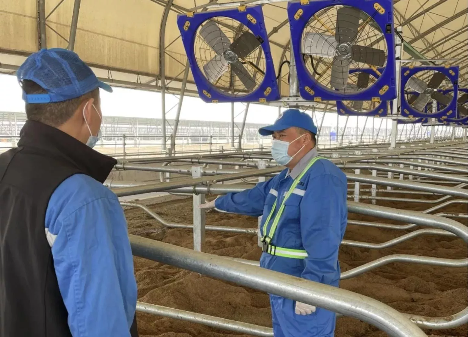 Chiny kupią mniej mleka z Europy? To może uderzyć w ceny