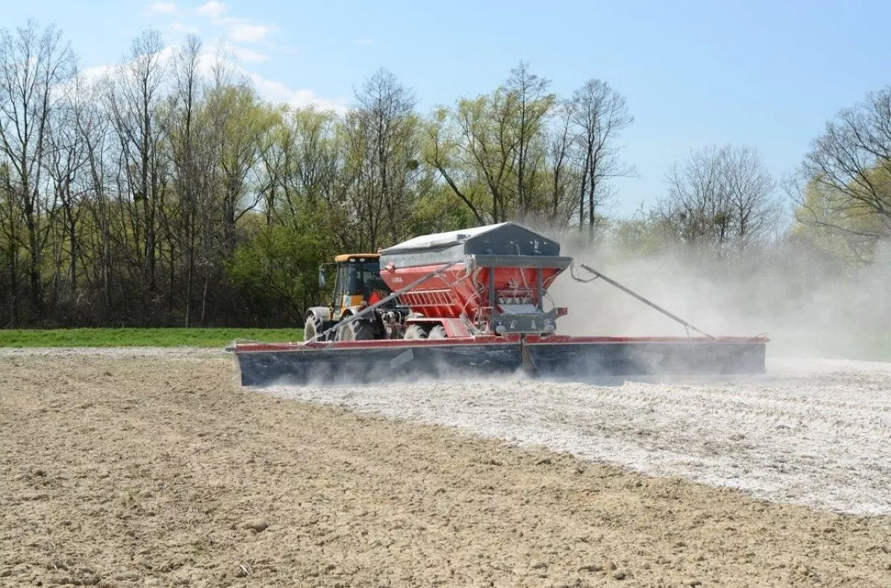 Jak wapnować pole pod kukurydzę? Sprawdź najważniejsze zasady