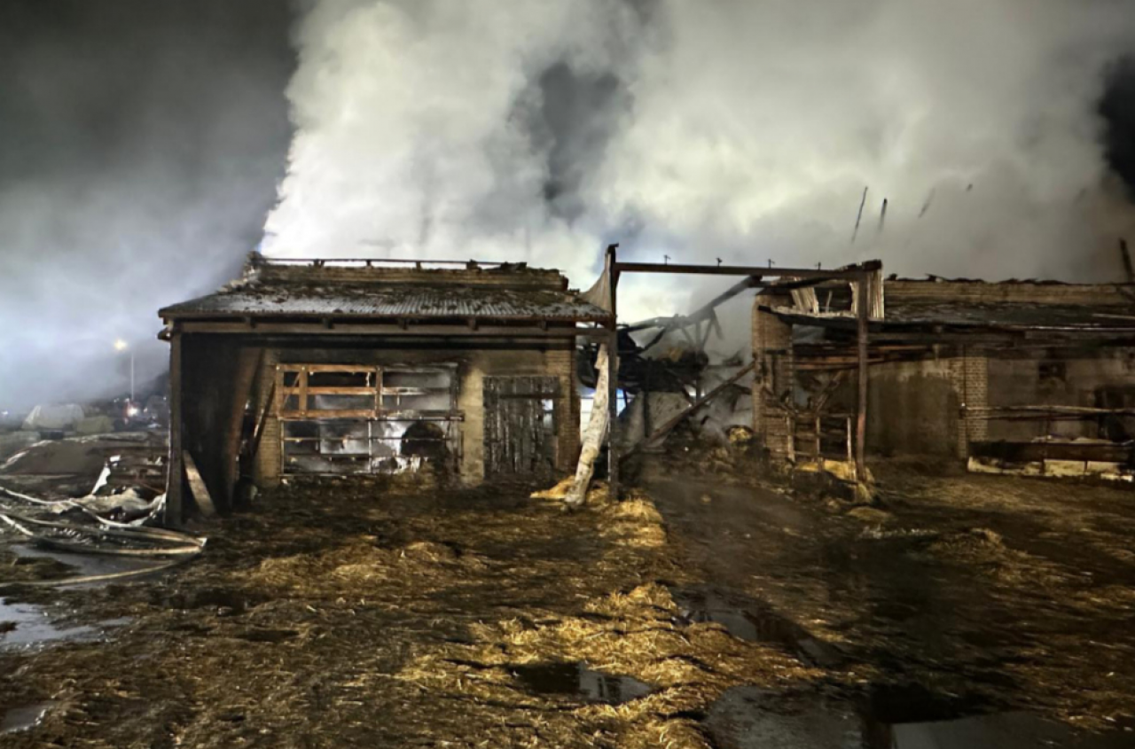 Tragiczny pożar w Wielkopolsce. W płonącej oborze znajdowało się 70 byków