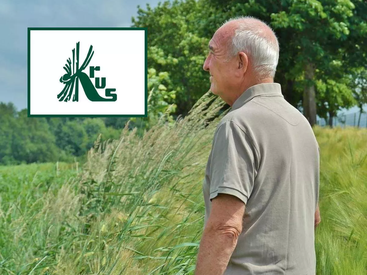 Renta z KRUS zamieni się w emeryturę automatycznie? Wielu rolników o tym nie wie