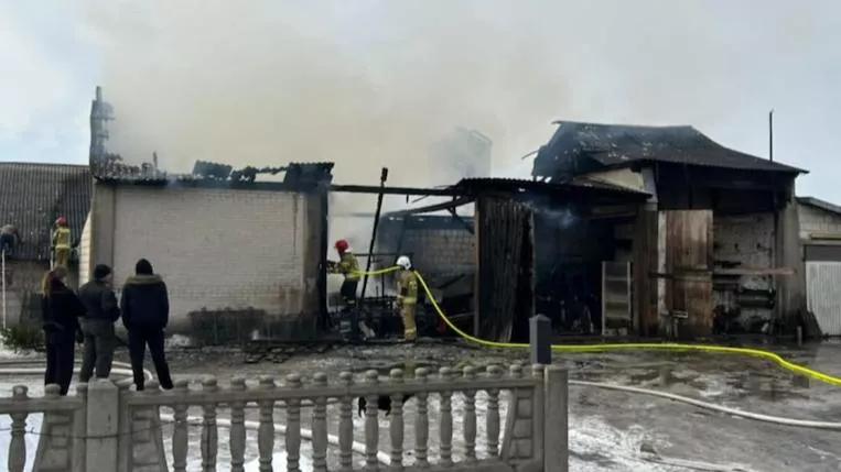 Pożar chlewni na Podlasiu. Ewakuowano 1200 tuczników