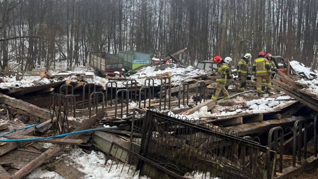 Dach stodoły zawalił się na zwierzęta znajdujące się poniżej. Nie wszystkie krowy przeżyły