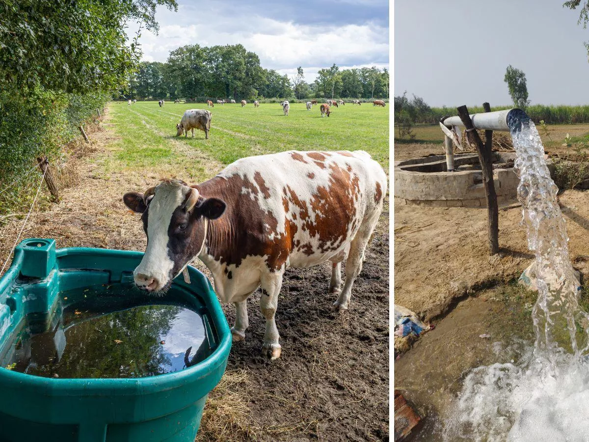 Masz studnię w gospodarstwie? Jedna kontrola i choćby milion zł kary