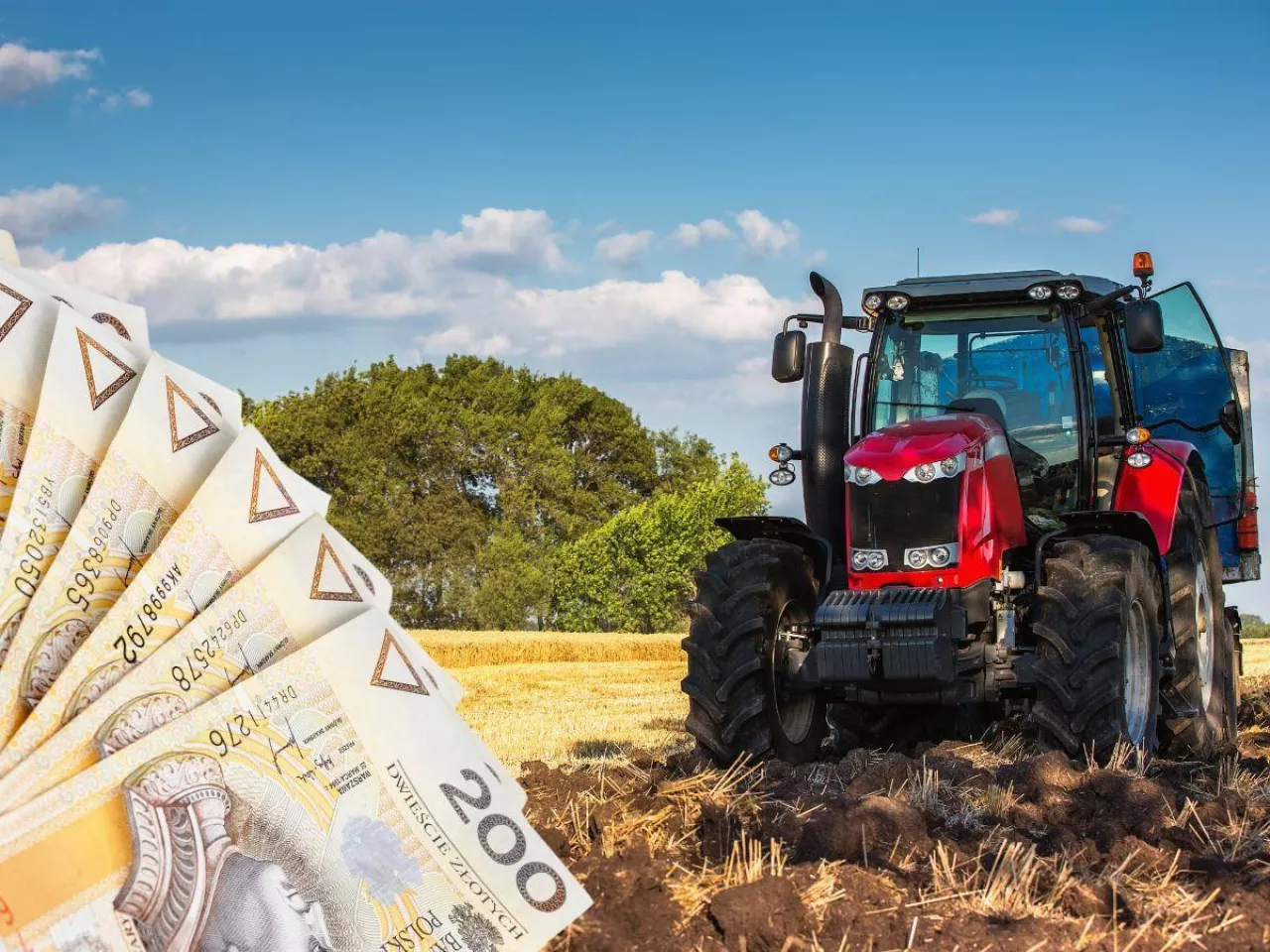 ”63% mniej za ekoschematy”. Rolnicy policzyli straty