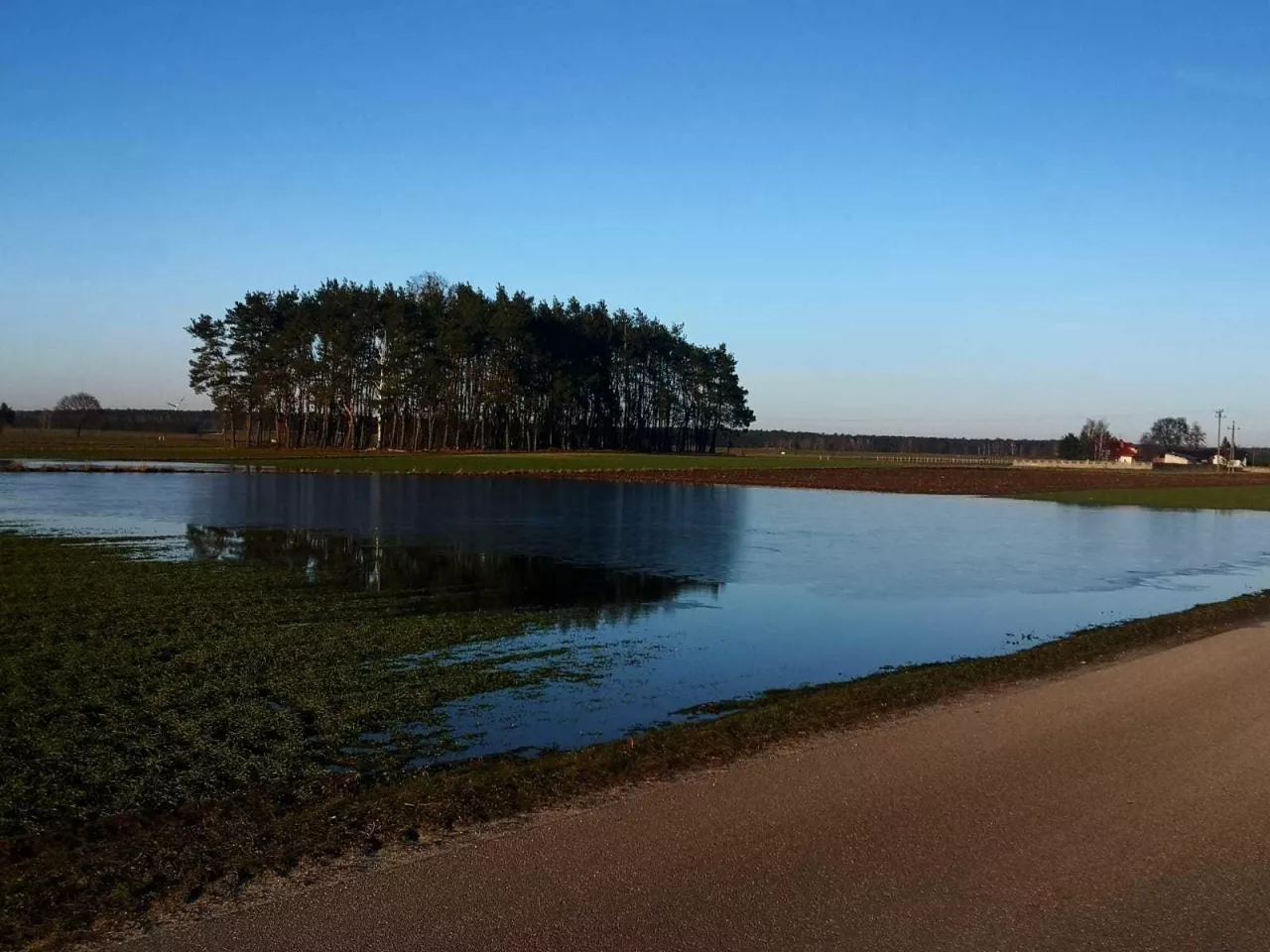 okolice Koluszek pod Łodzią