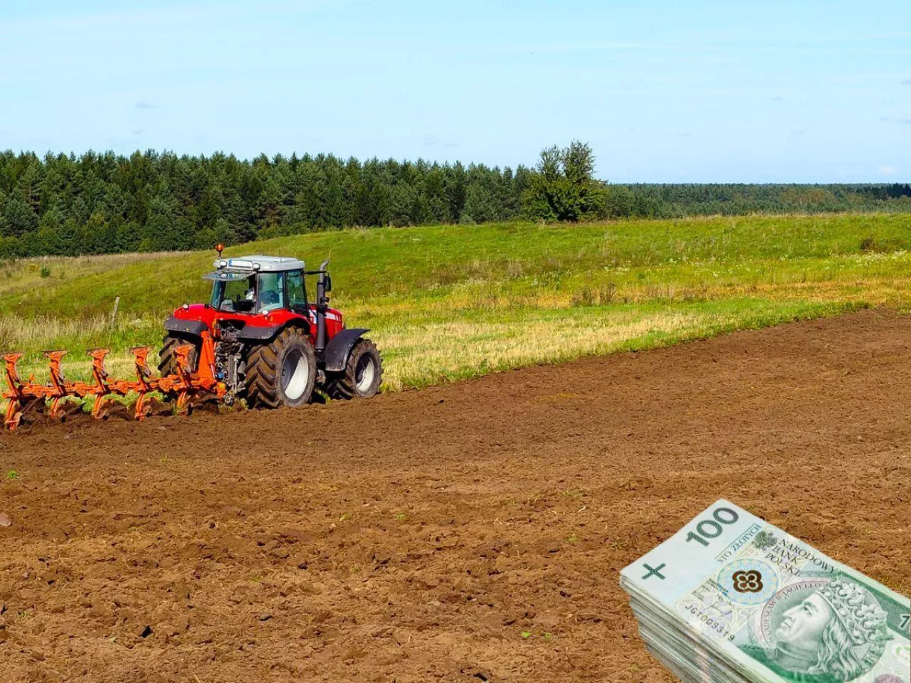 KOWR wydzierżawi niemal 135 ha w Wielkopolsce. Jaki czynsz?