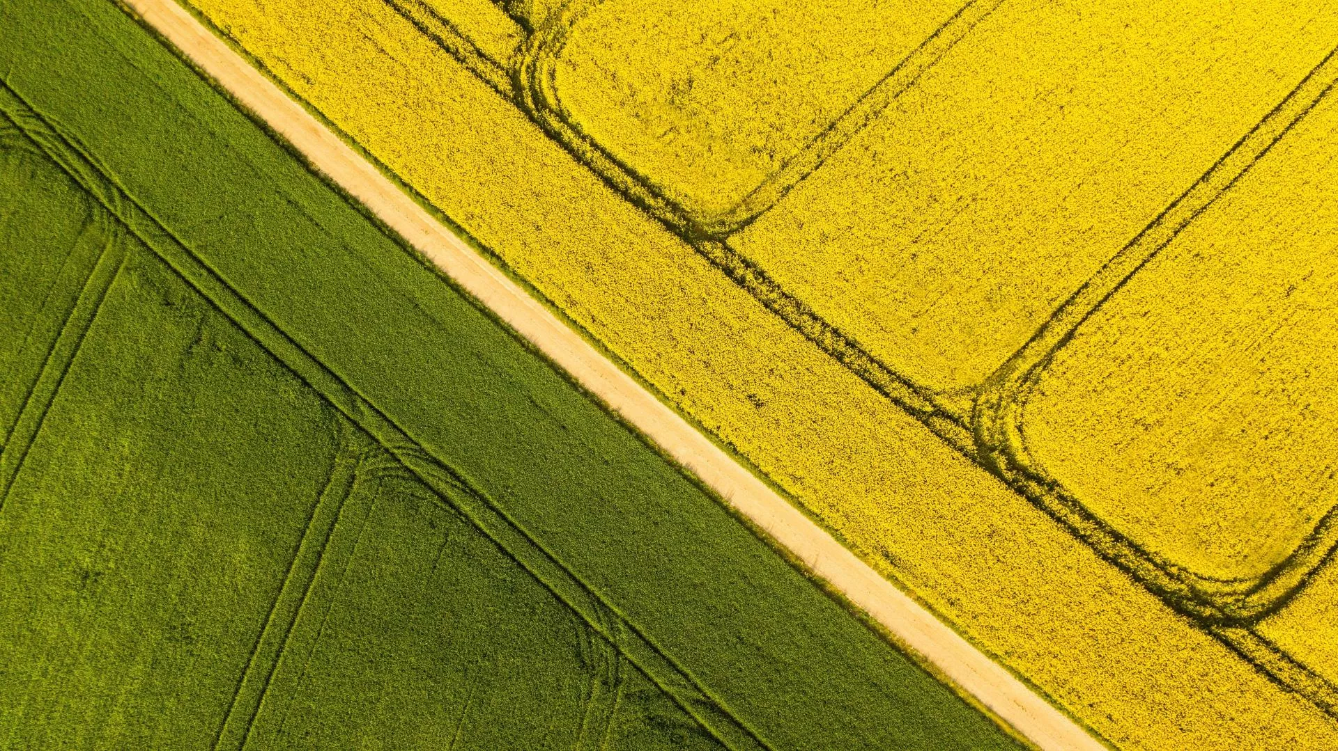 Produkty w nowej odsłonie, skład bez zmian. Qemetica® z nowymi etykietami