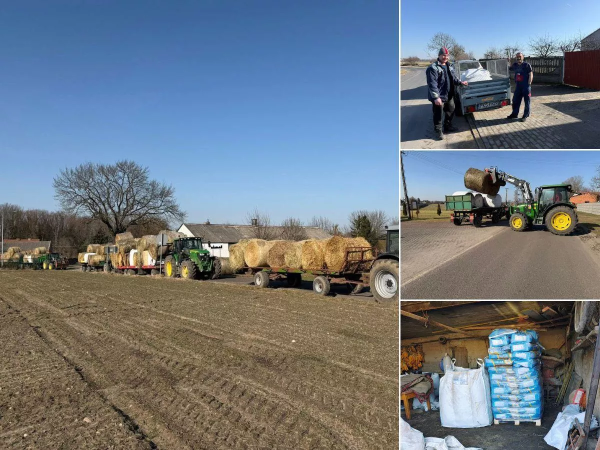 Stracił oborę i 20 byków w kilka godzin. Rolnicy nie zostawili ich samych