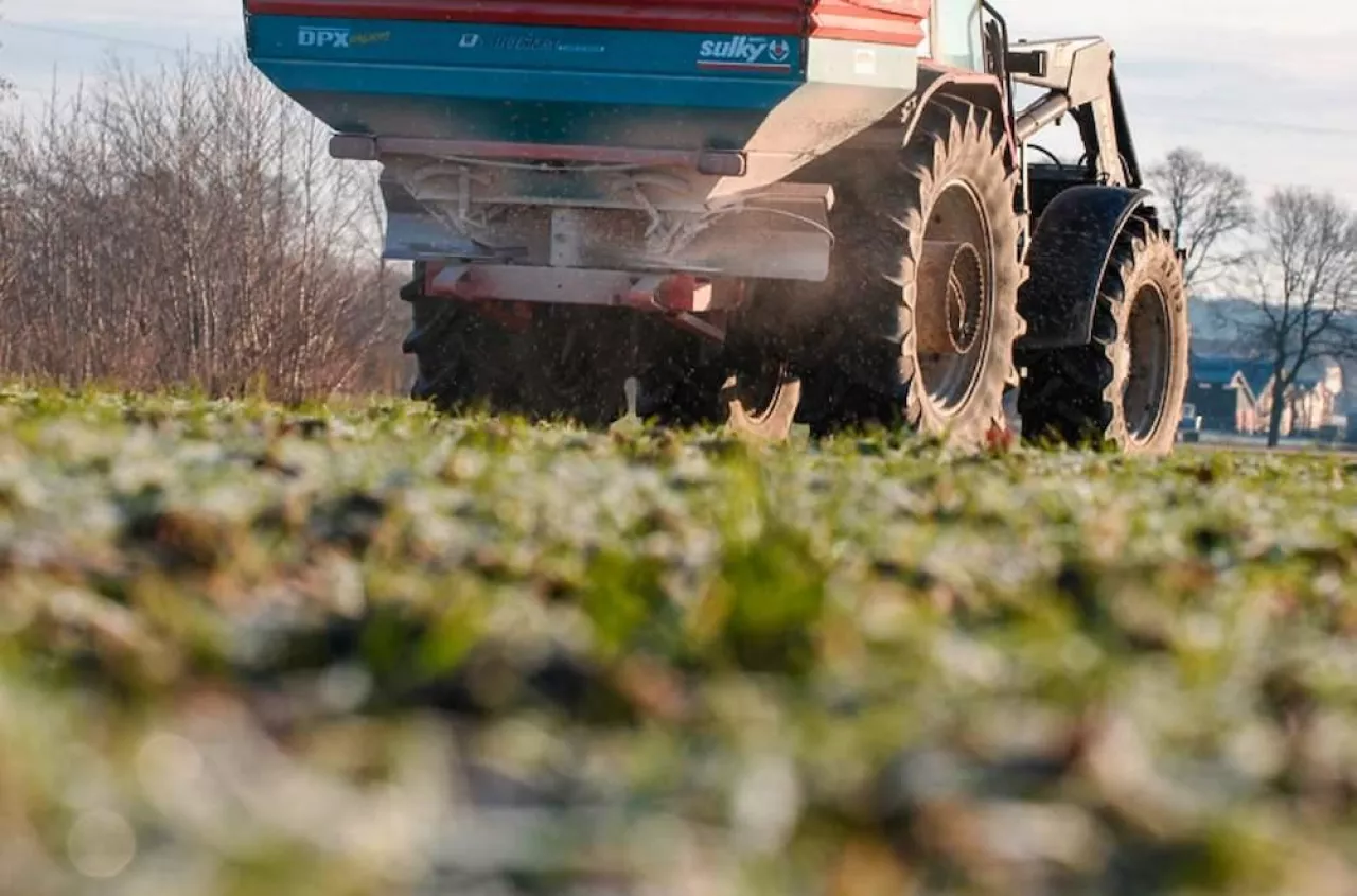 Mocznik z inhibitorem tej wiosny? Sprawdź, czy to dobry wybór
