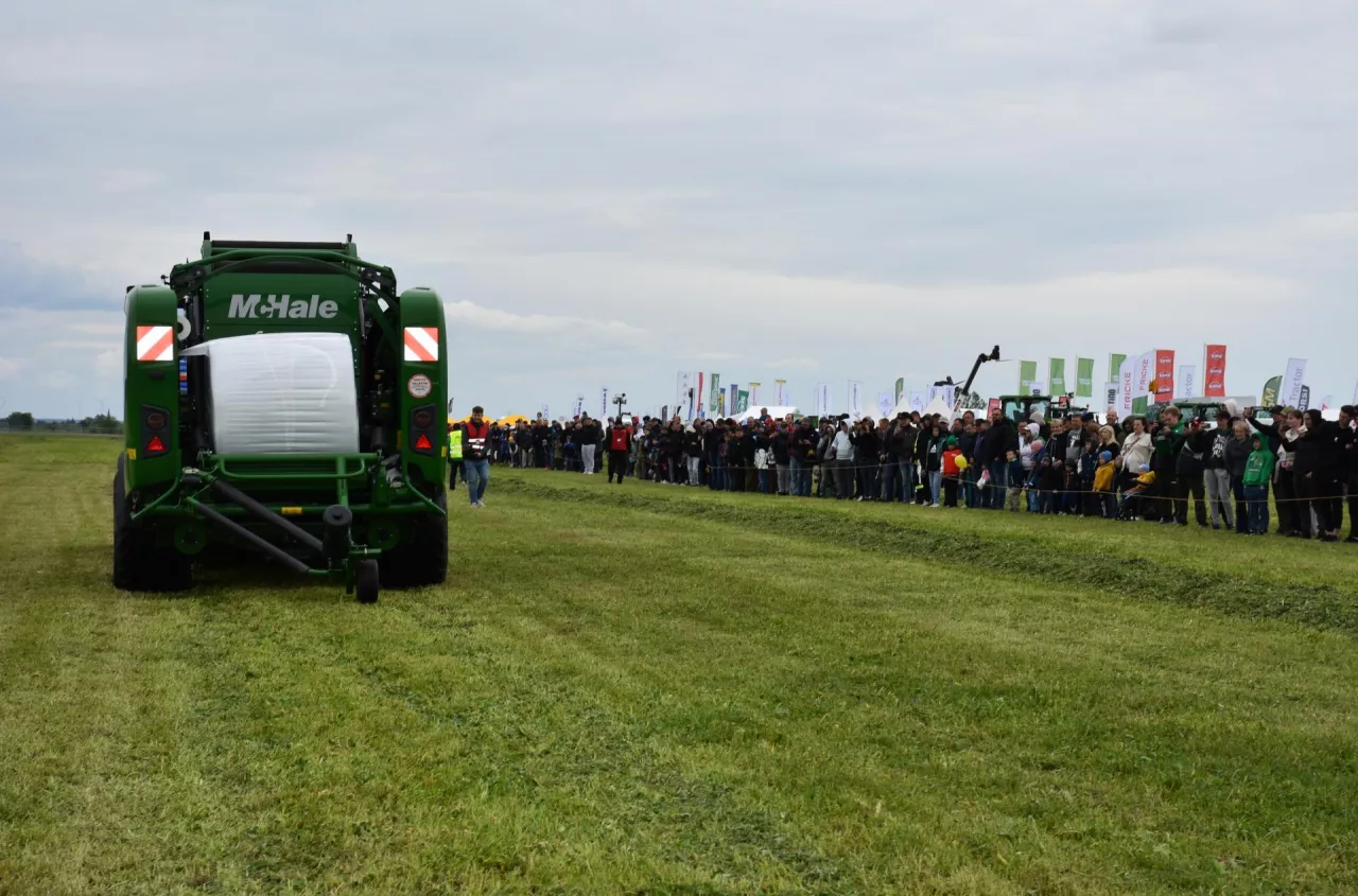 Zwierzęta wracają na targi po przerwie. Rolnicy długo na to czekali