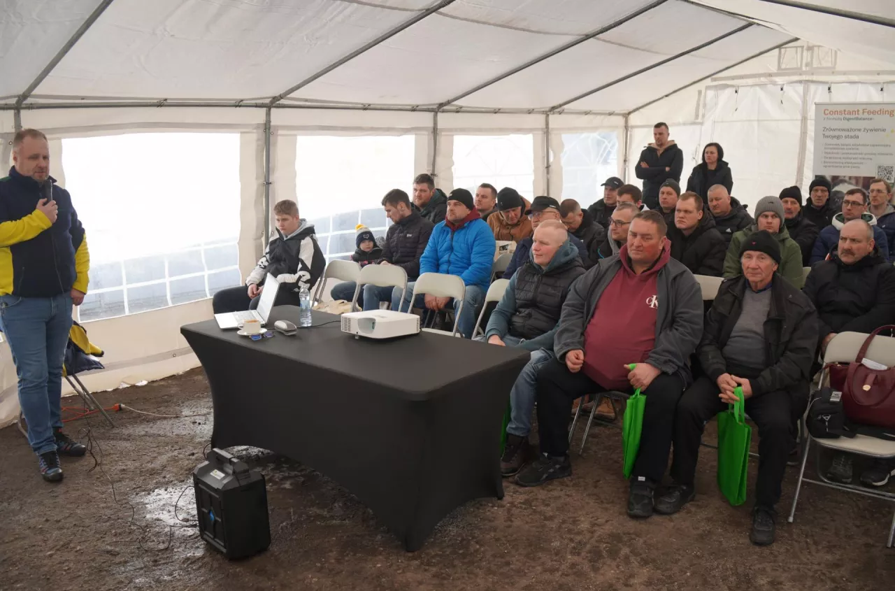 Ta zmiana w żywieniu dała ponad 2 litry mleka więcej od krowy