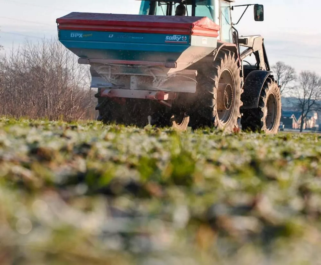 Mocznik z inhibitorem tej wiosny? Sprawdź, czy to dobry wybór