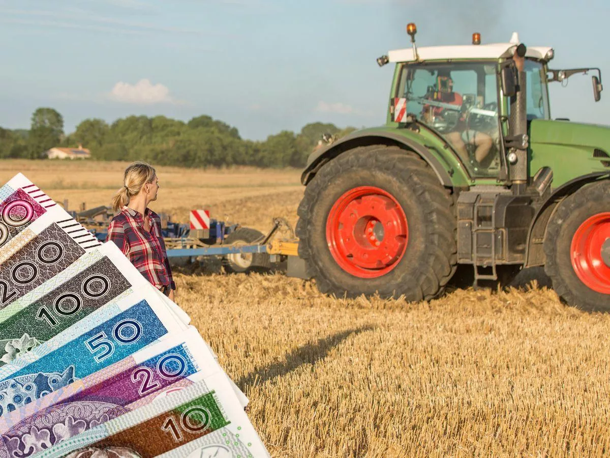 Dopłaty 2026: te ekoschematy będą od 15 marca. Sprawdź, co się zmienia