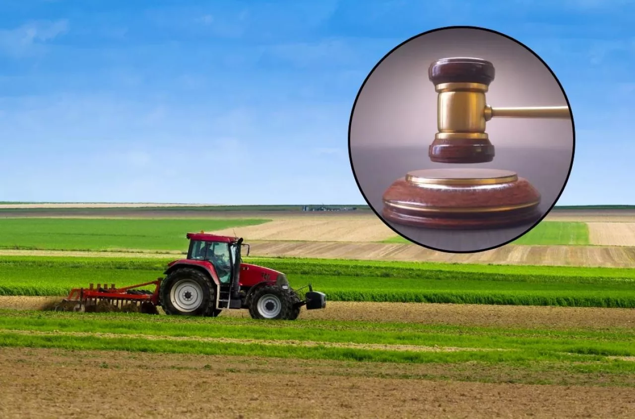 Czy nowy właściciel może wypowiedzieć dzierżawę pola?