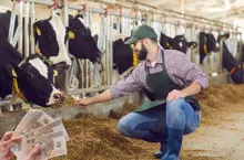 Rolnicy pod ścianą. Ceny skupu nie pokrywają kosztów, rząd odpowiada