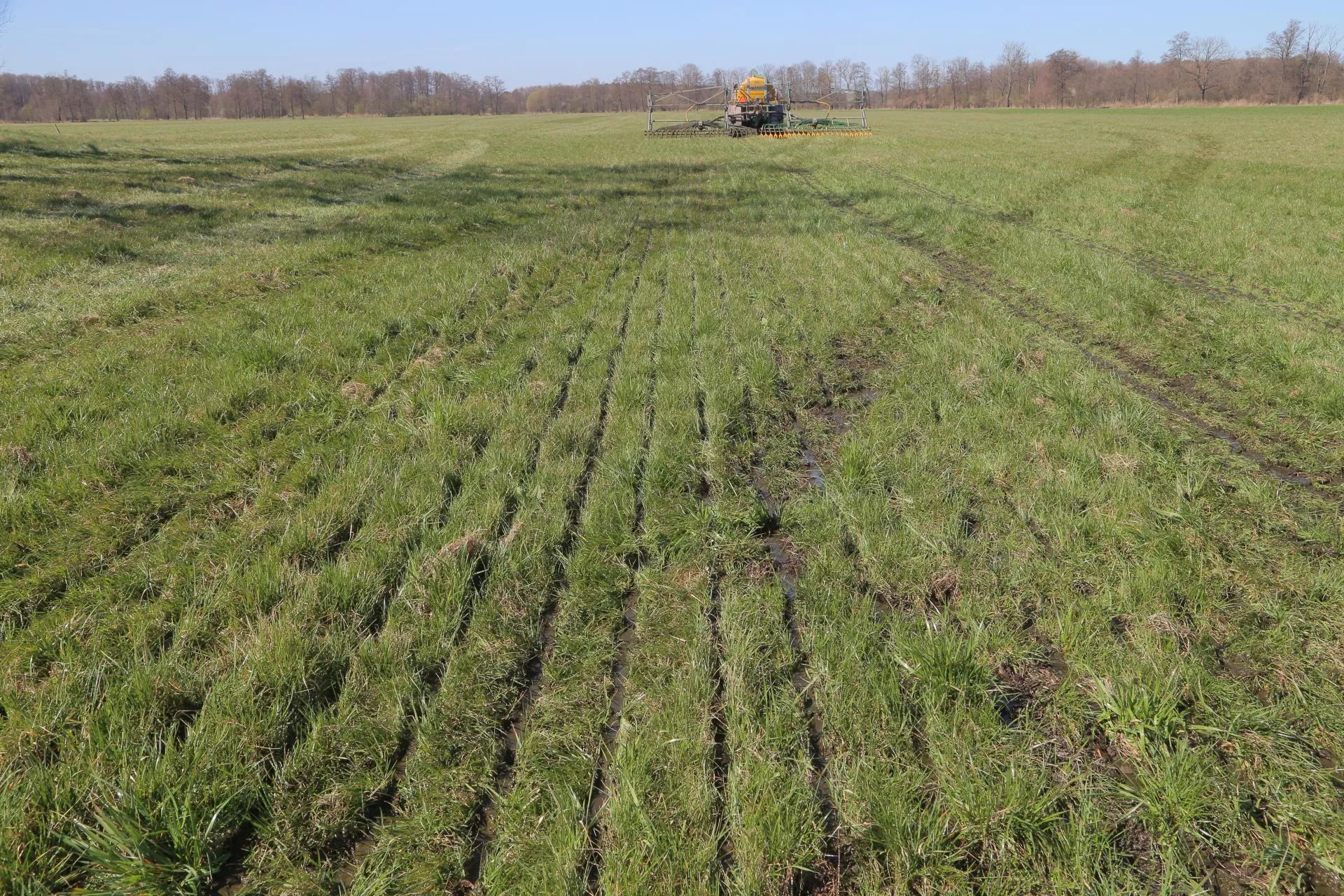Tyle kosztuje hektar łąki w twoim województwie. Sprawdź nowe ceny