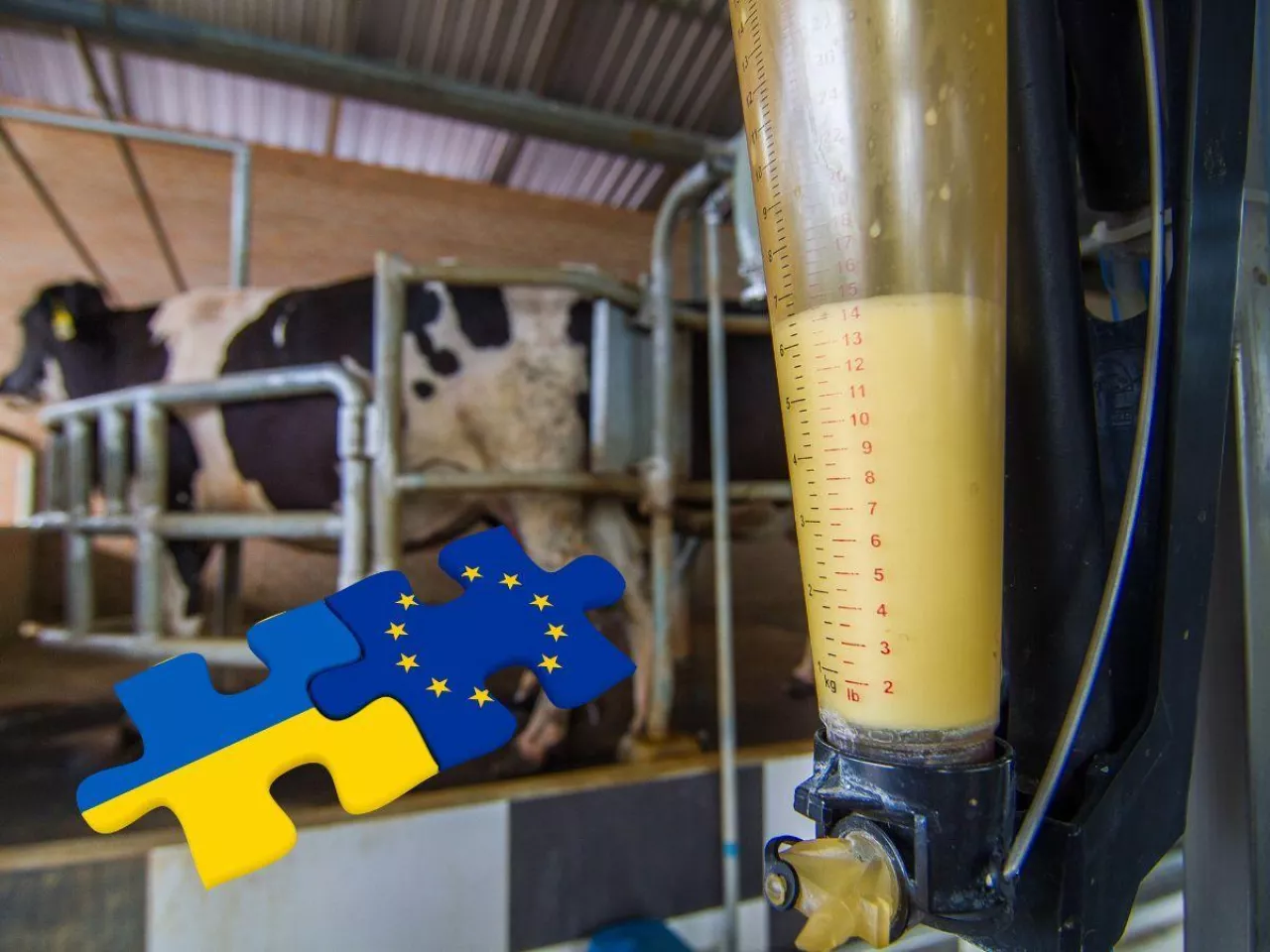 Integracja ukraińskiego rynku mleka z polskim