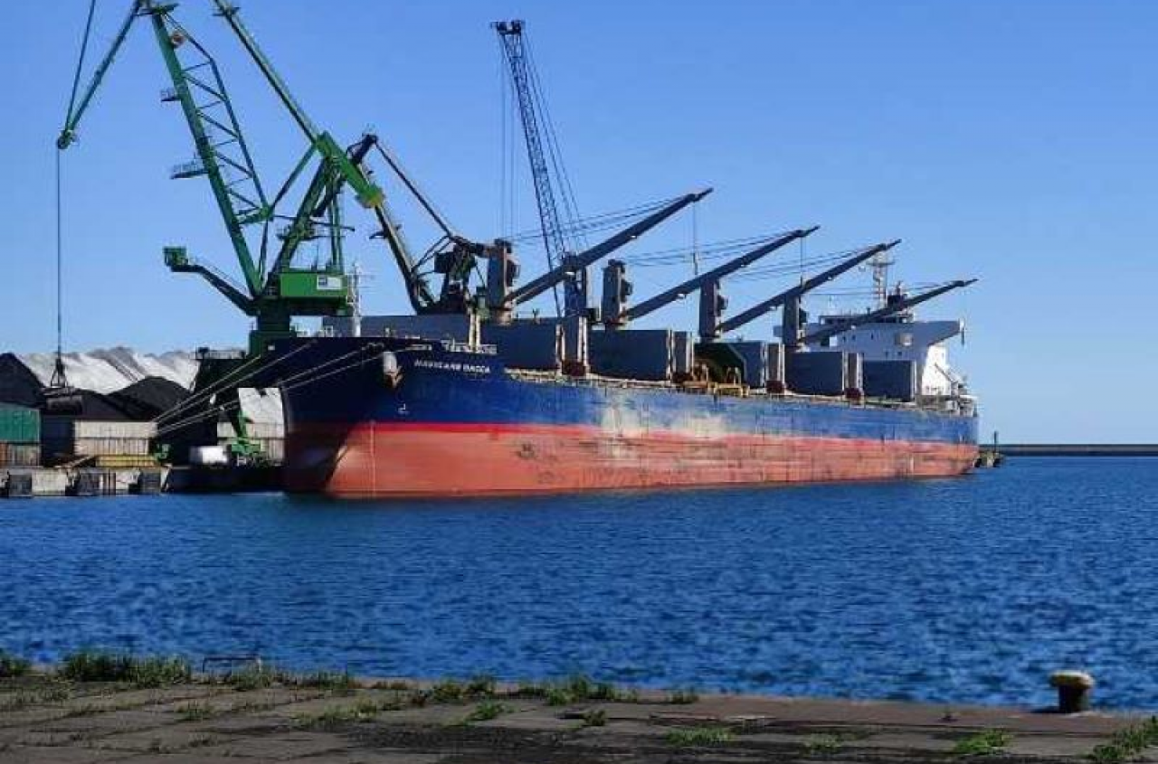 Skażony słonecznik przypłynął z Mercosur. Rolnicy alarmują: ceny nam spadły o 10%