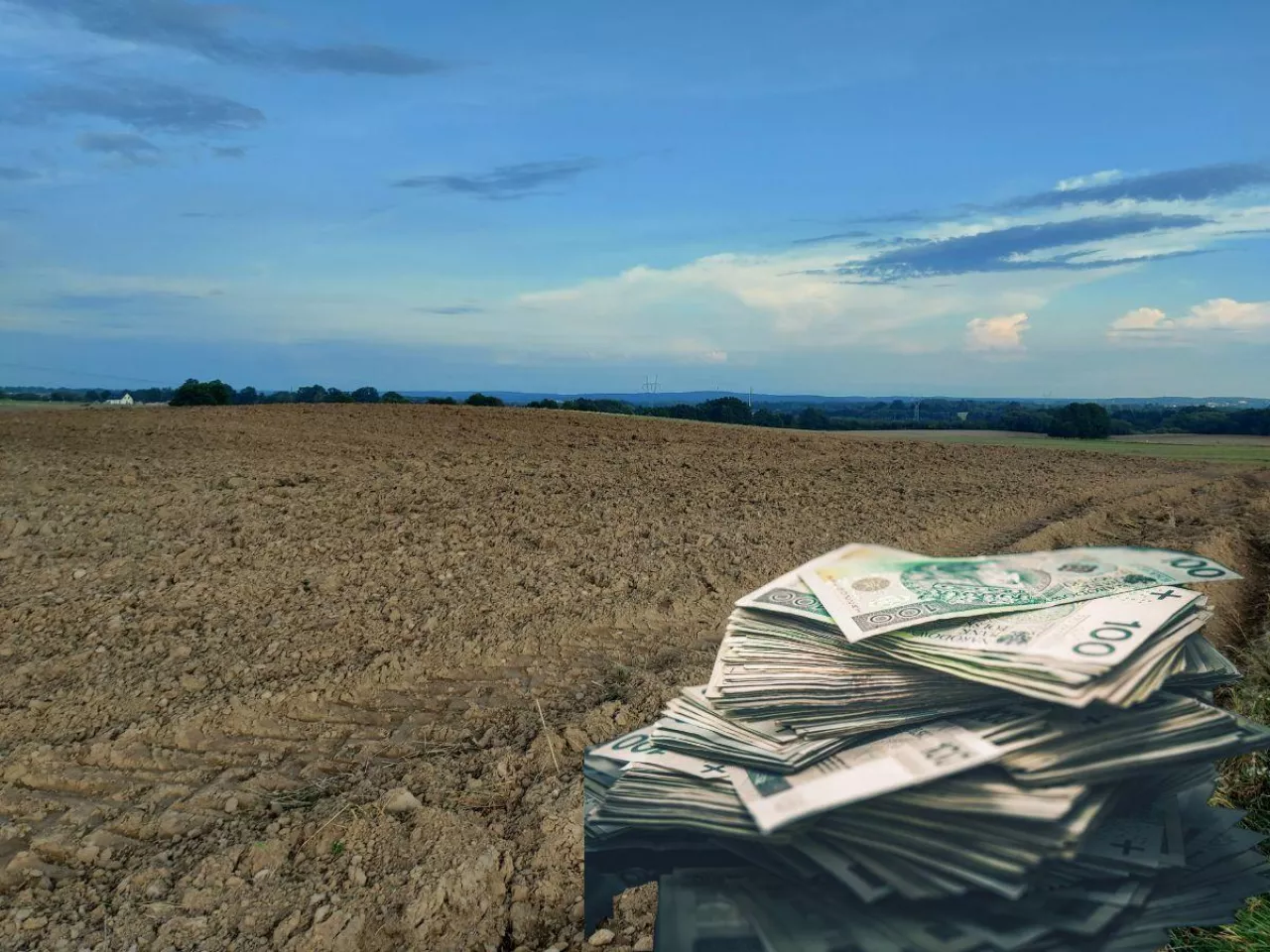 ziemia rolna, po prawej u dołu banknoty