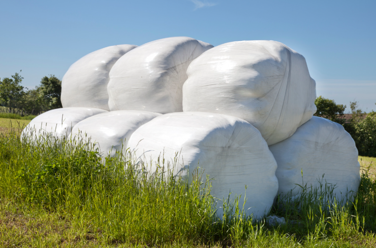 Ta liczba hektarów zmienia obowiązki rolnika. Musi prowadzić ewidencję