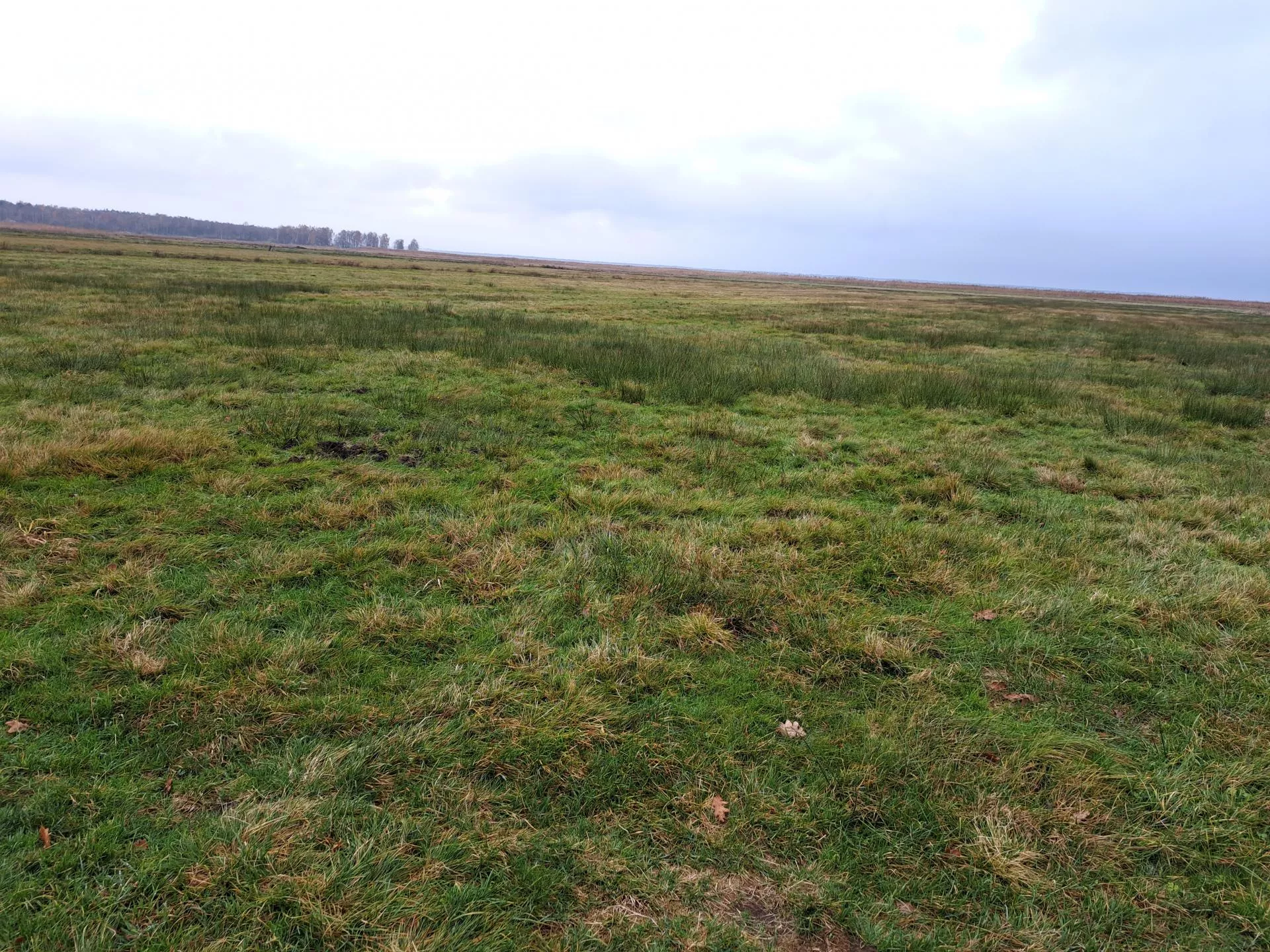 Nawet 2380 zł dopłaty do hektara. Prezydent podpisał ustawę